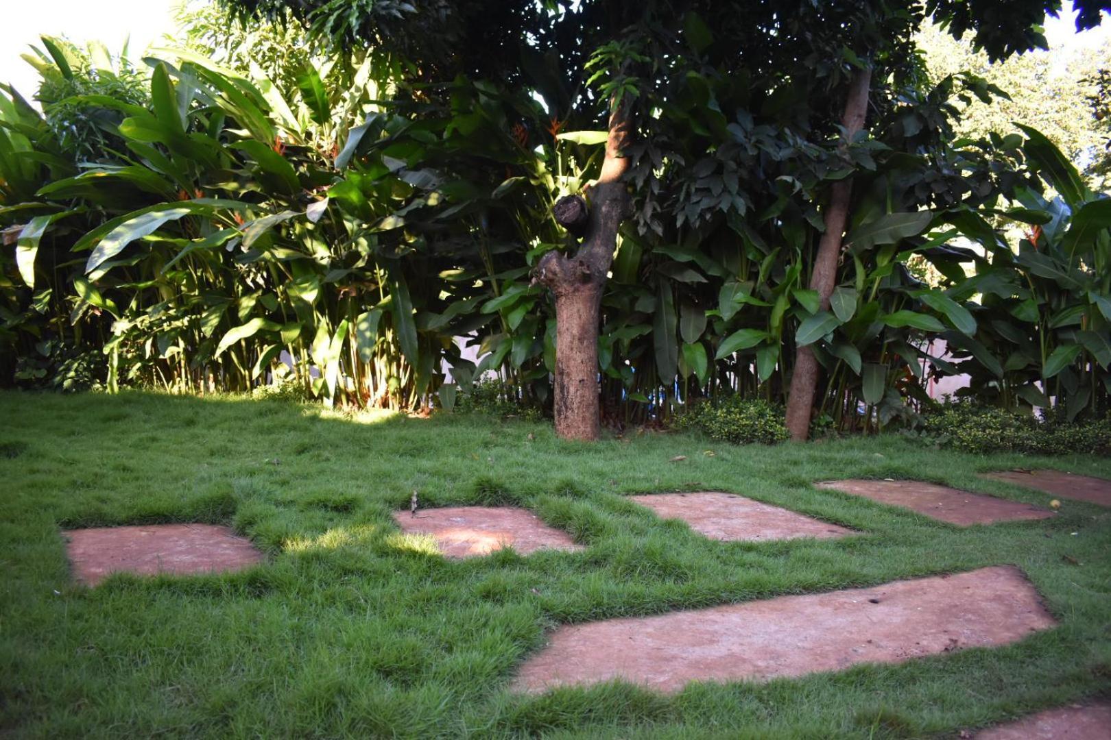 Kilimanjaro Accommodation Msaranga Luaran gambar